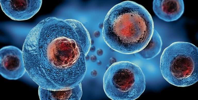 Regenerative medicine